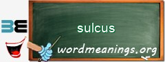 WordMeaning blackboard for sulcus